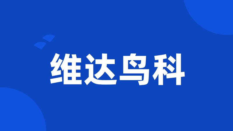 维达鸟科