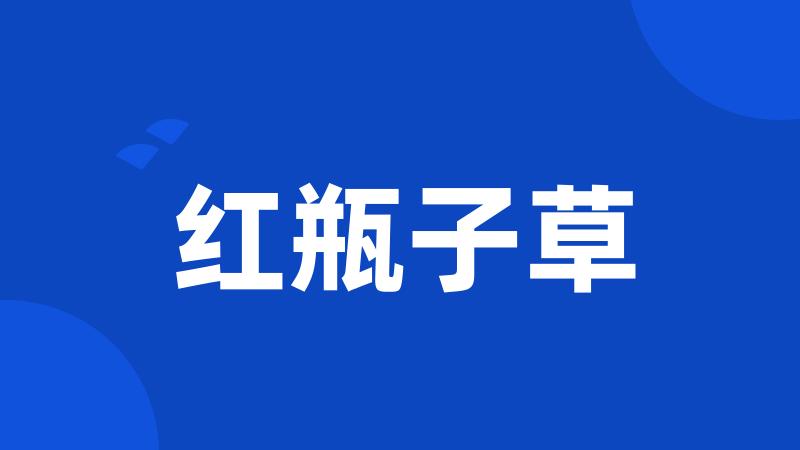 红瓶子草