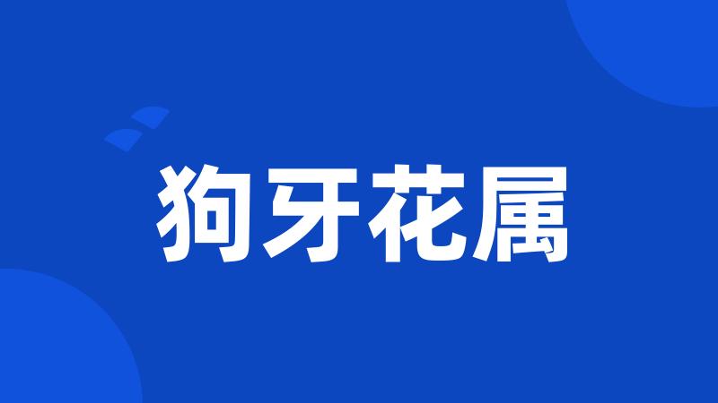 狗牙花属