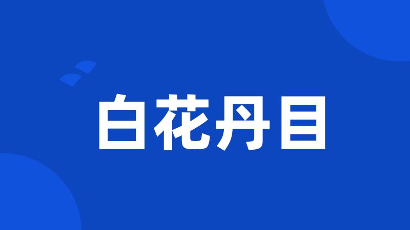 白花丹目