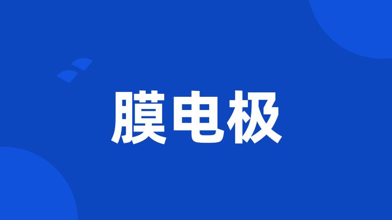 膜电极
