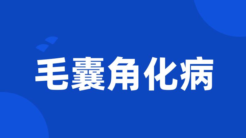毛囊角化病