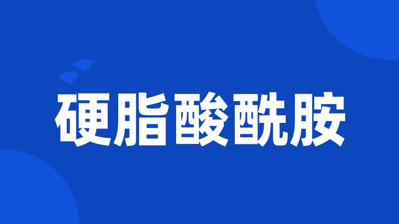 硬脂酸酰胺