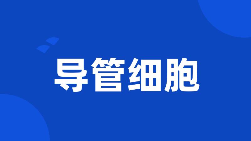 导管细胞