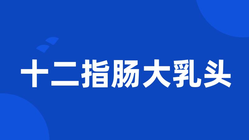 十二指肠大乳头