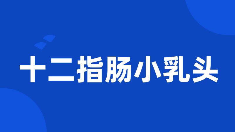 十二指肠小乳头