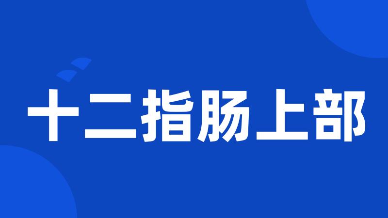 十二指肠上部