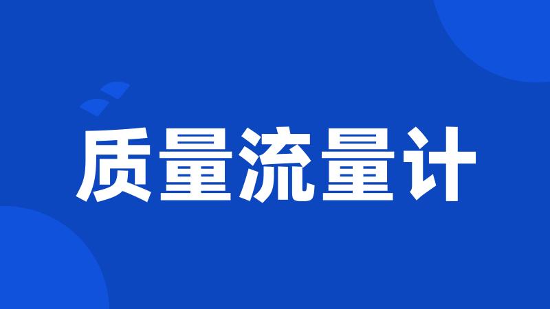 质量流量计
