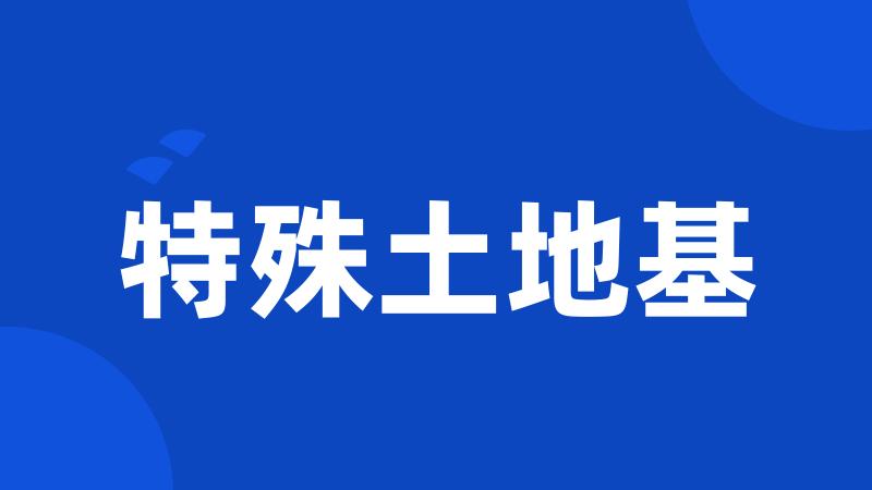 特殊土地基