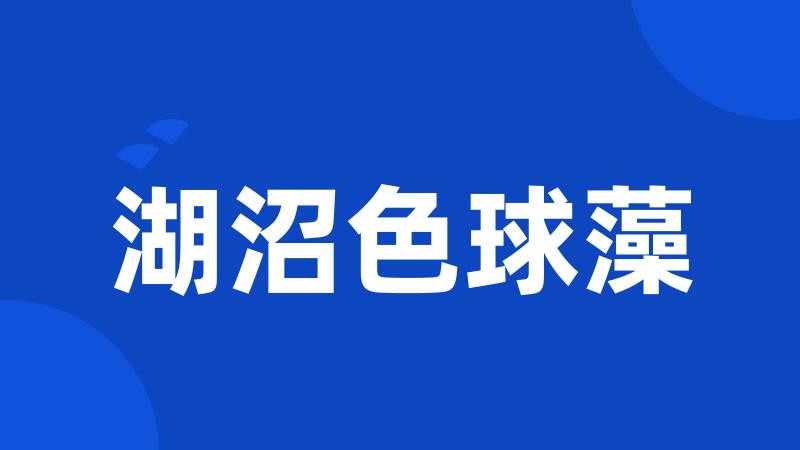 湖沼色球藻