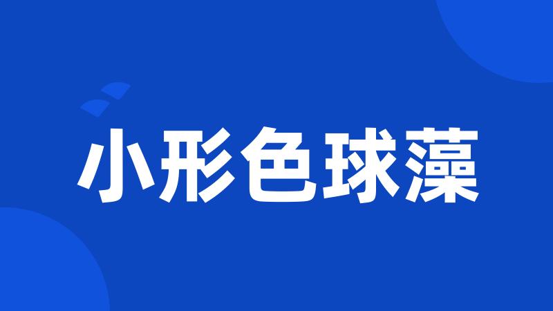 小形色球藻
