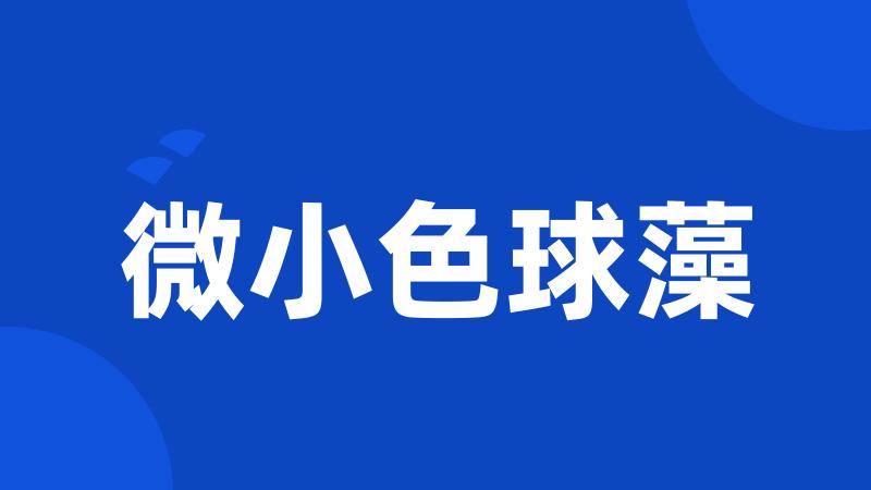 微小色球藻