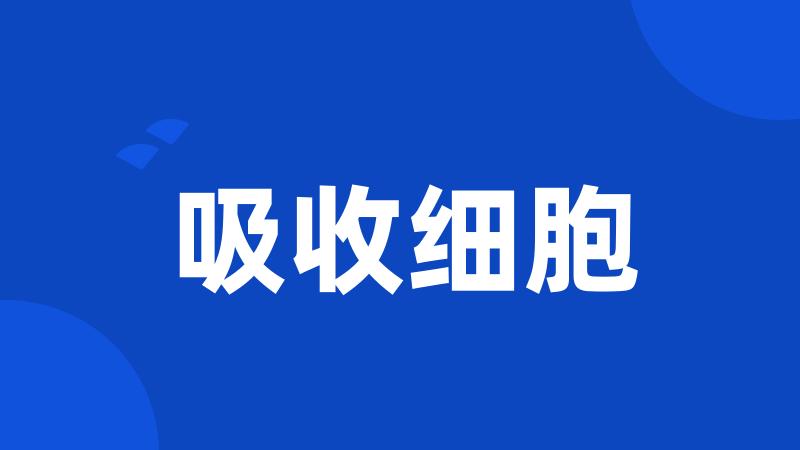 吸收细胞