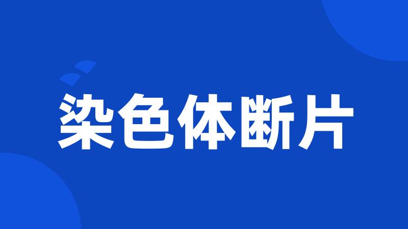 染色体断片