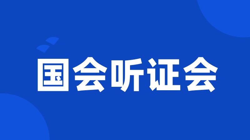 国会听证会