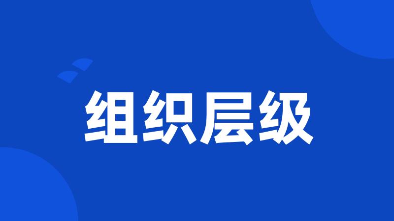 组织层级