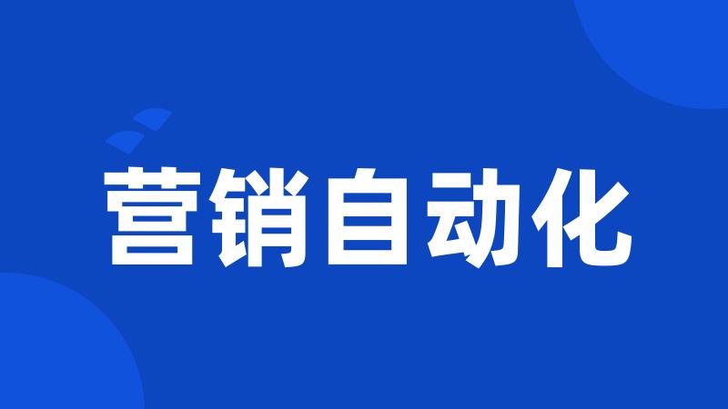 营销自动化