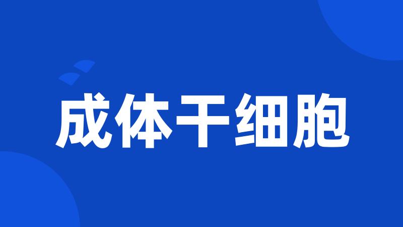 成体干细胞