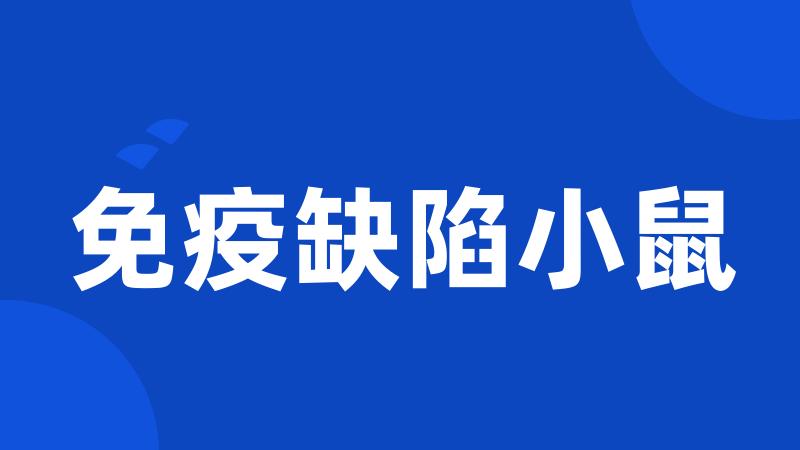 免疫缺陷小鼠