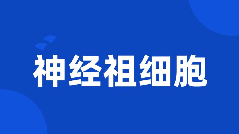 神经祖细胞