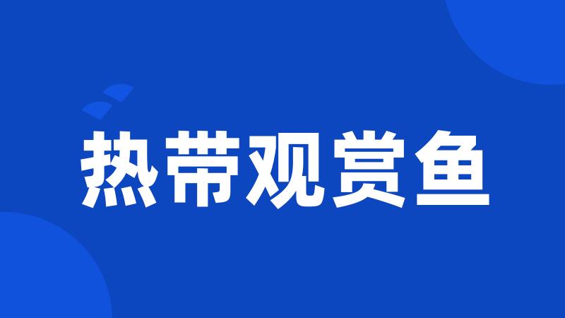热带观赏鱼
