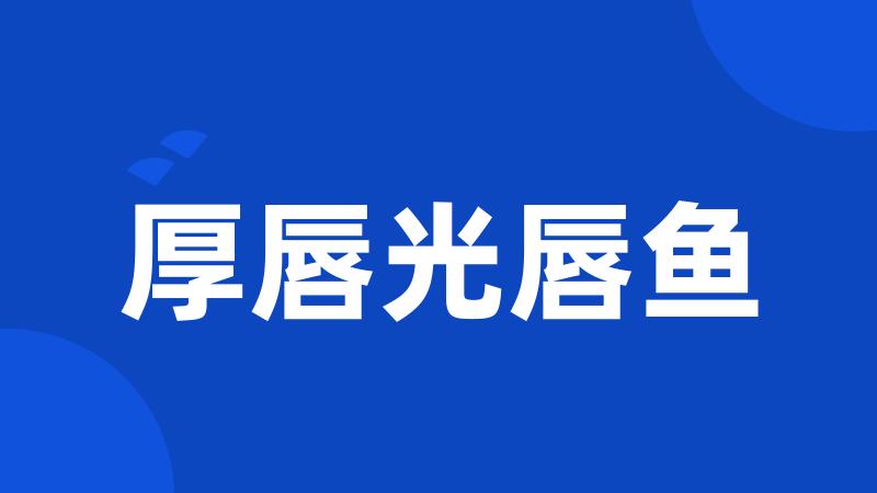 厚唇光唇鱼