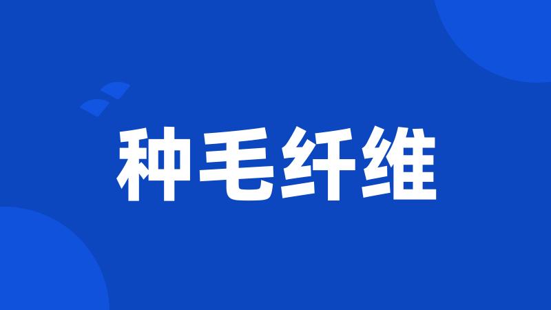 种毛纤维