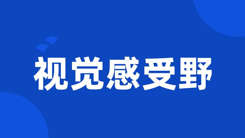 视觉感受野