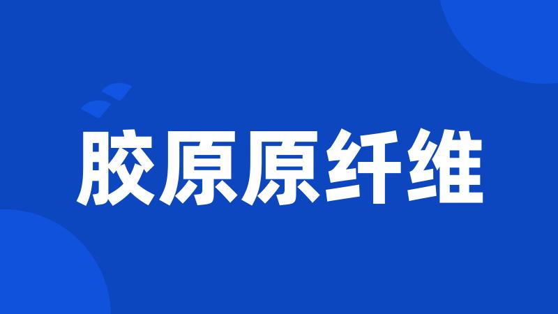 胶原原纤维