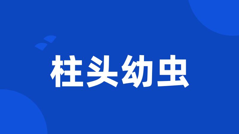 柱头幼虫