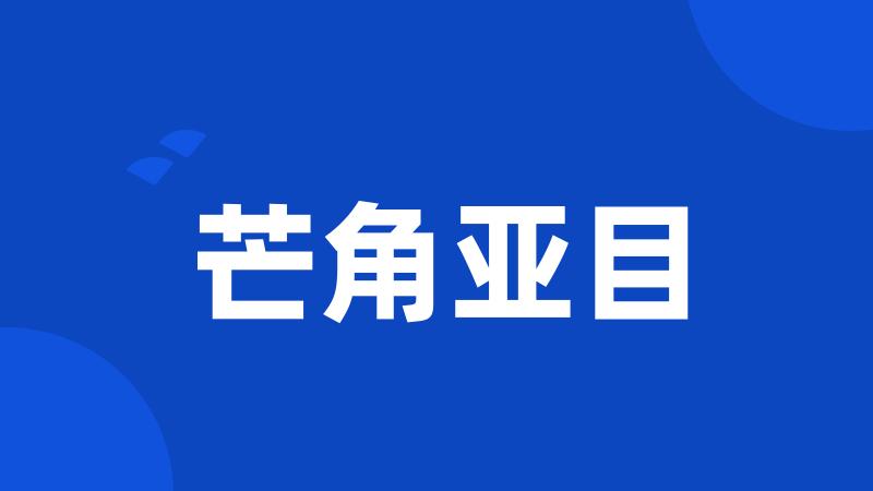 芒角亚目