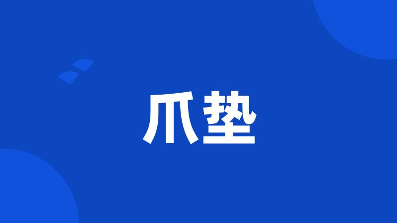 爪垫