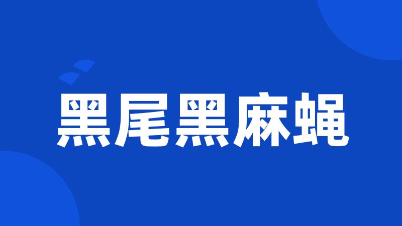 黑尾黑麻蝇