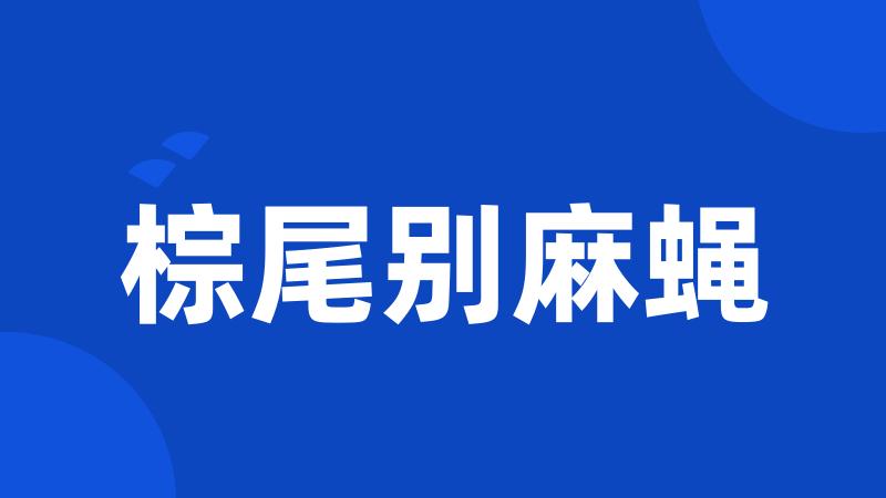 棕尾别麻蝇