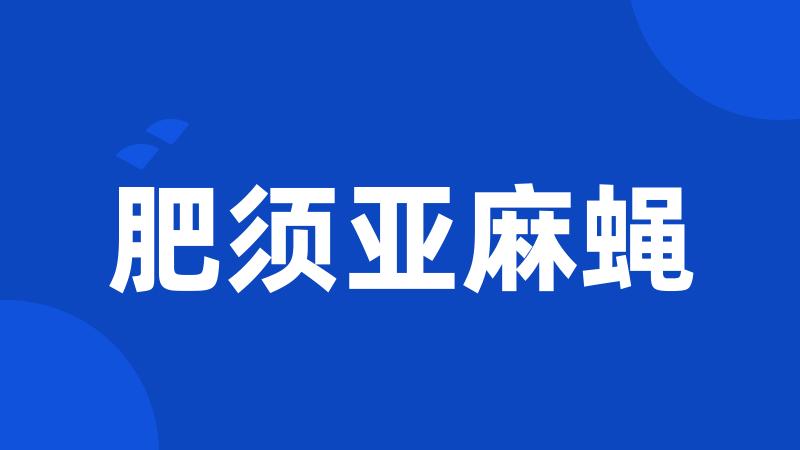 肥须亚麻蝇