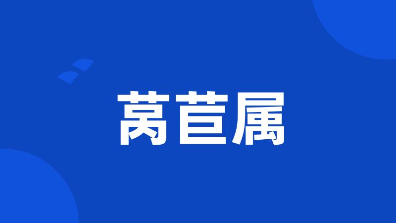 莴苣属