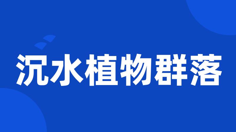 沉水植物群落