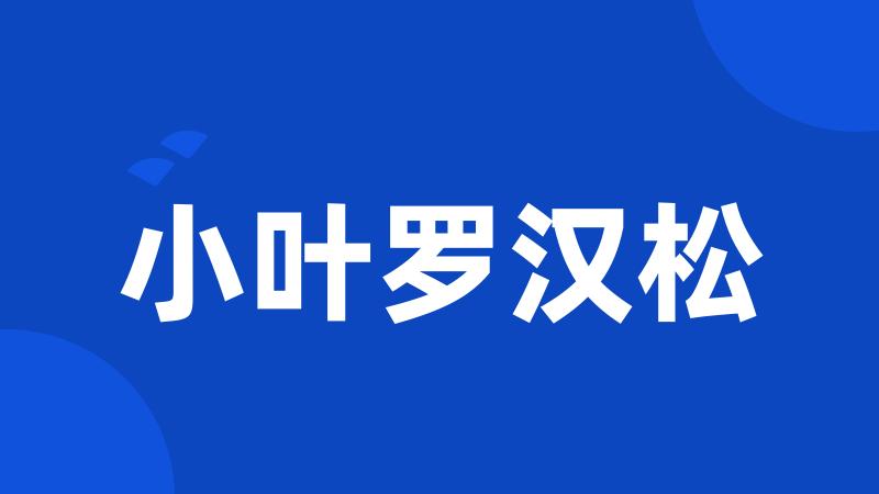 小叶罗汉松
