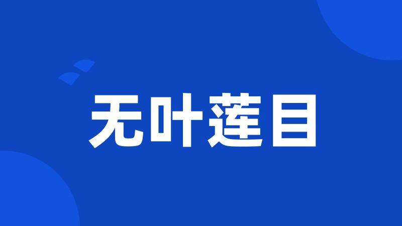 无叶莲目