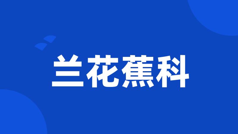 兰花蕉科