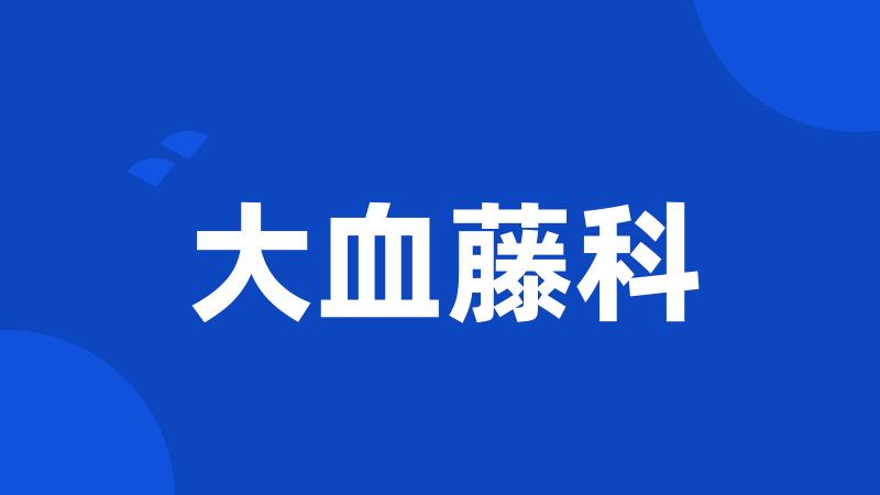 大血藤科