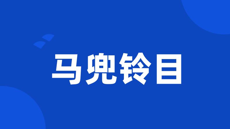 马兜铃目