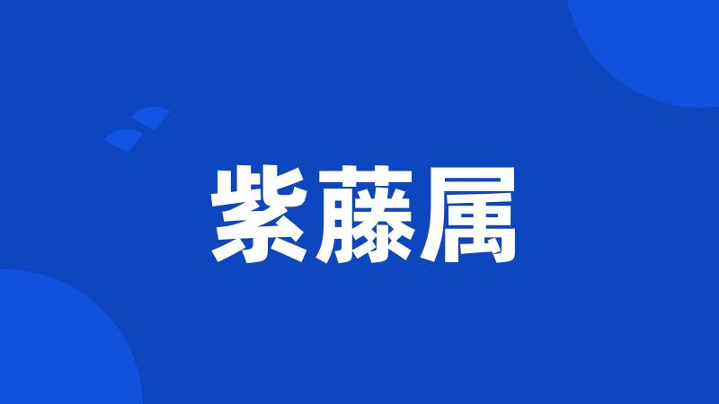 紫藤属