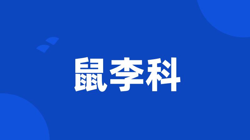 鼠李科