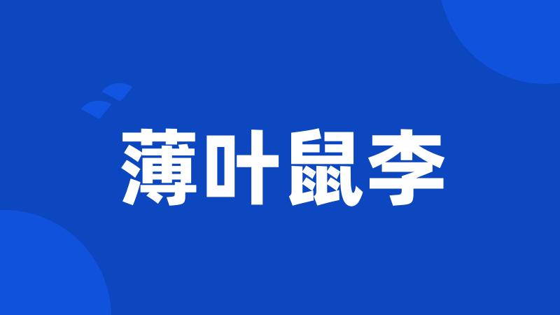 薄叶鼠李