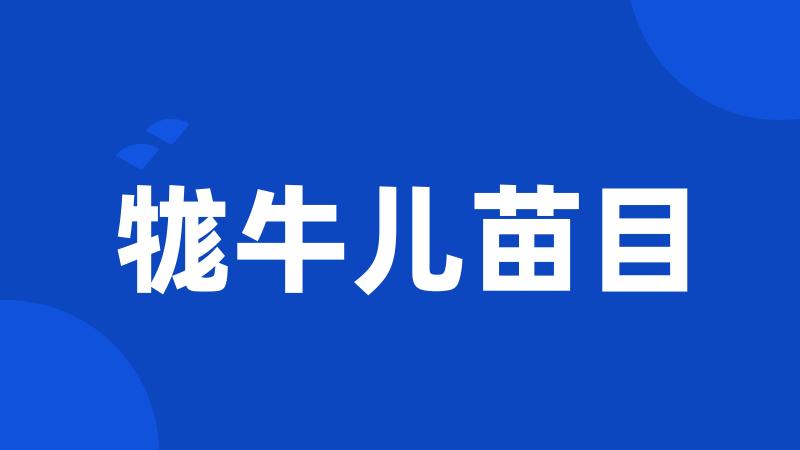 牻牛儿苗目
