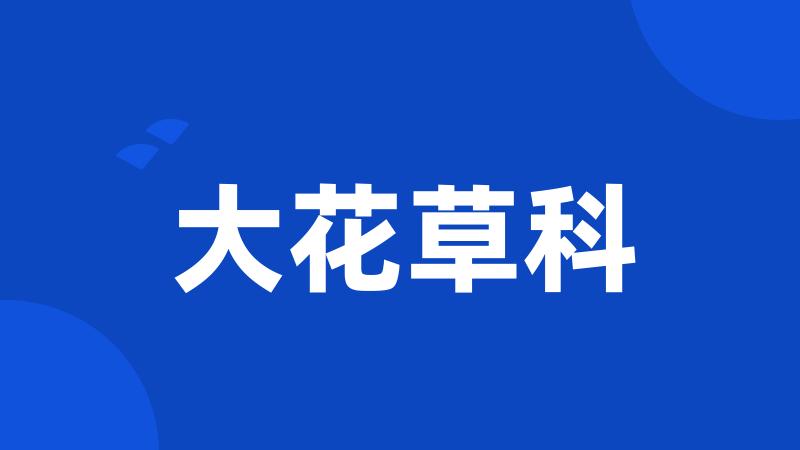 大花草科