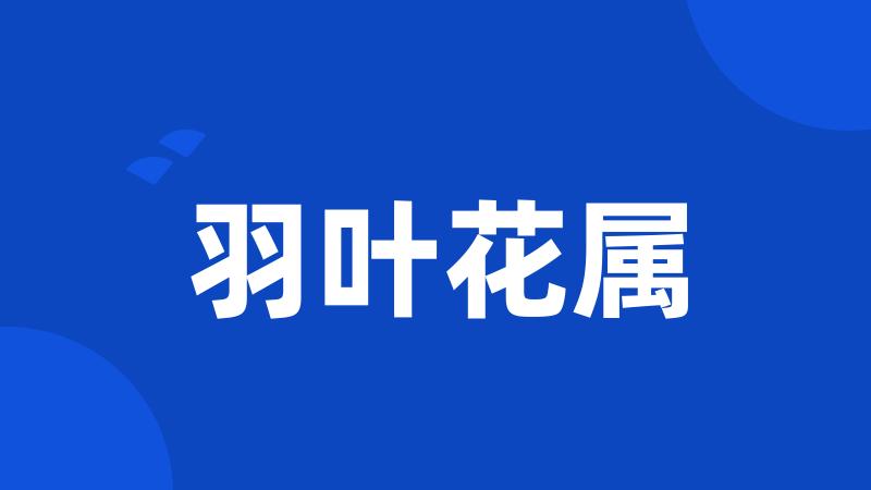 羽叶花属