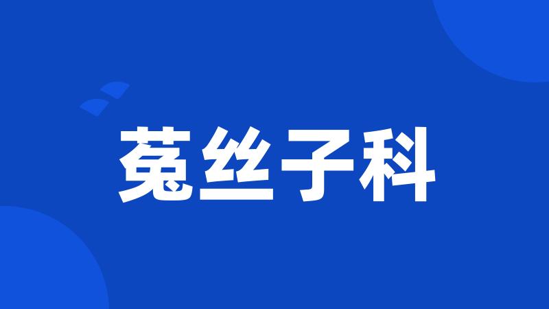 菟丝子科