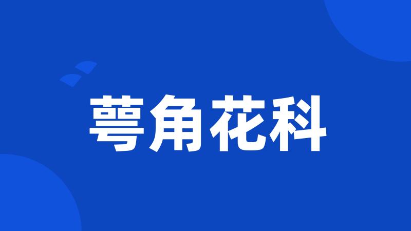 萼角花科